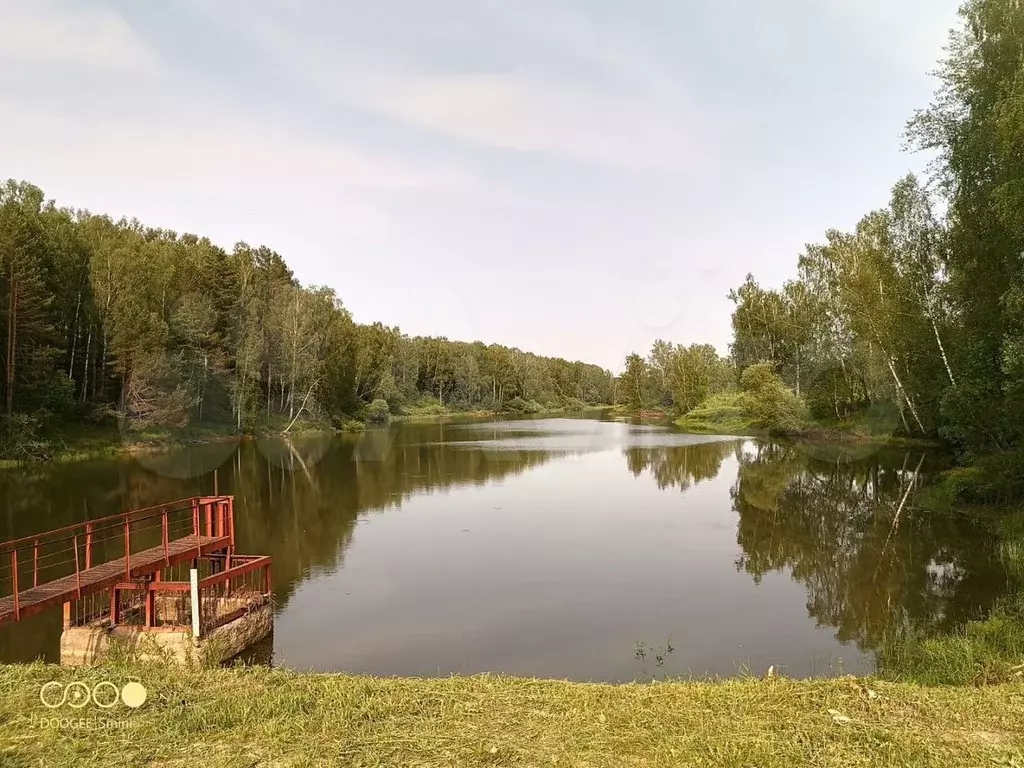 Участок 20 сот. (личное подсобное хозяйство (лпх)) - Фото 0