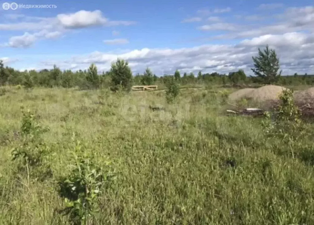 Участок в Каменский сельсовет, квартал Завражный (10 м) - Фото 2