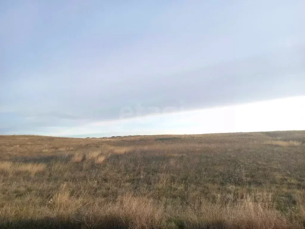 Участок в Крым, Ленинский район, с. Калиновка ул. Абденановой (6.3 ... - Фото 1