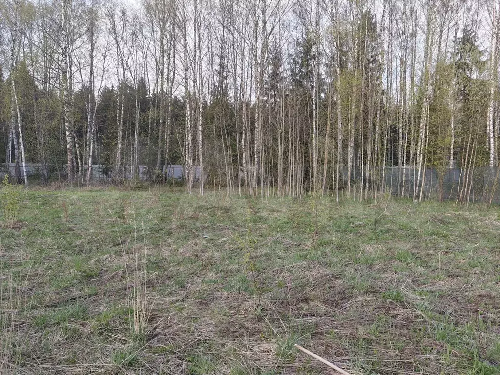 Участок 7 сот. (ИЖС) - Фото 1