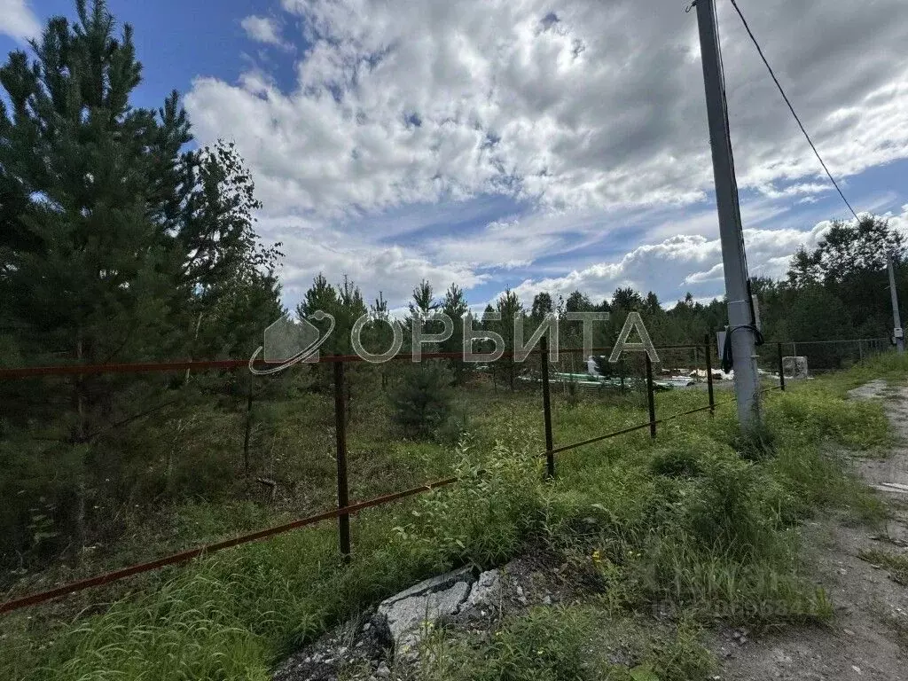Участок в Тюменская область, Нижнетавдинский район, Сундукуль СНТ  ... - Фото 1