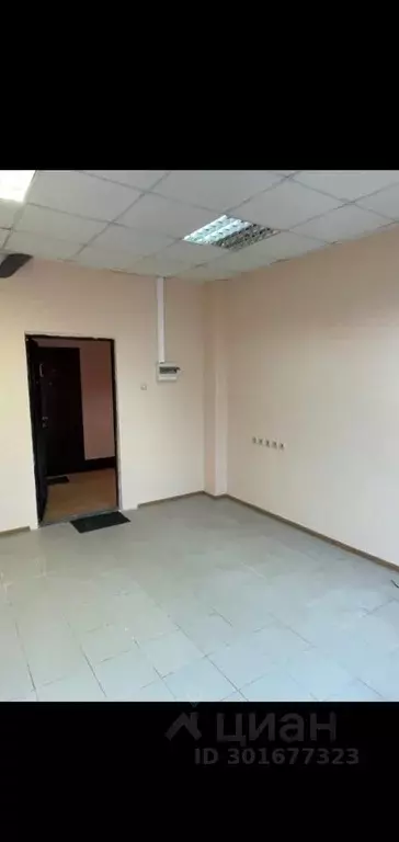 Офис в Воронежская область, Воронеж бул. Победы, 50В (18 м) - Фото 2