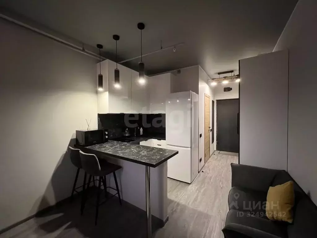 Студия Москва 1-я Магистральная ул., 25 (24.7 м) - Фото 2