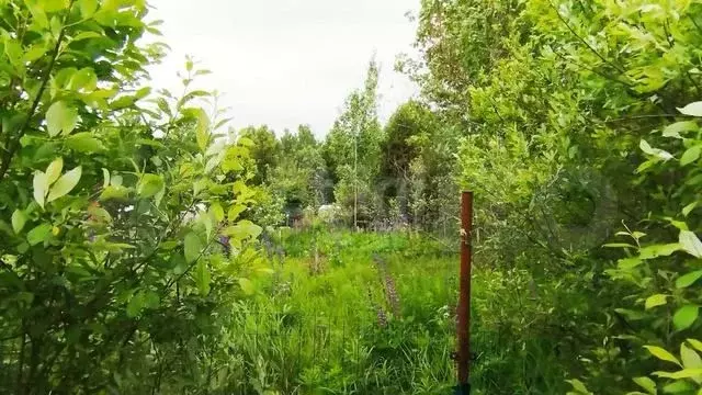 Участок 6,3 сот. (СНТ, ДНП) - Фото 1