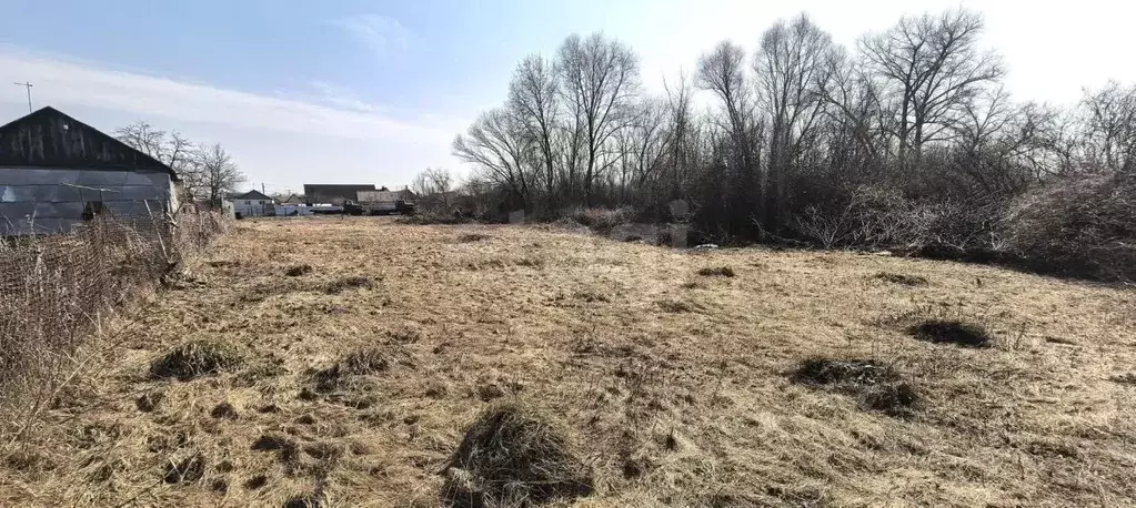 Участок в Воронежская область, Воронеж Имени Буденного мкр, ул. ... - Фото 1