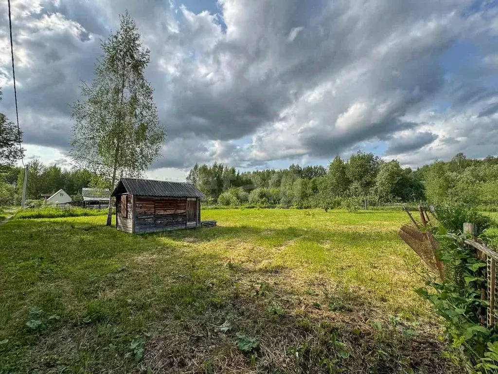 Участок в Ярославская область, Ярославский муниципальный округ, д. ... - Фото 1