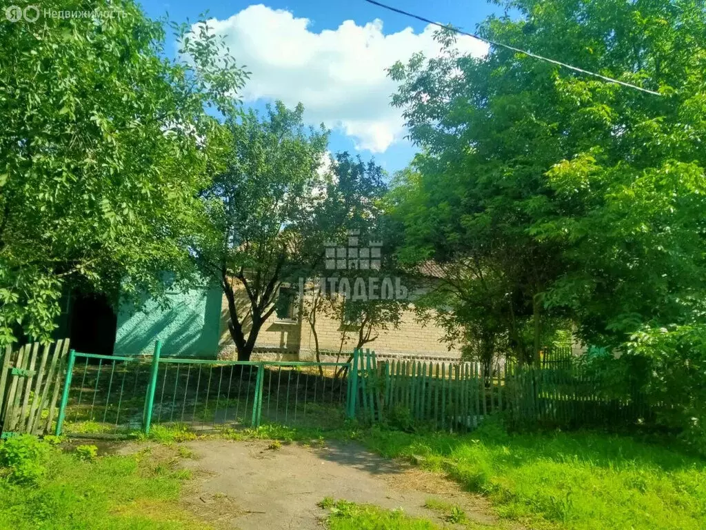 Дом в Синие Липяги, Школьный переулок, 8 (100 м) - Фото 1