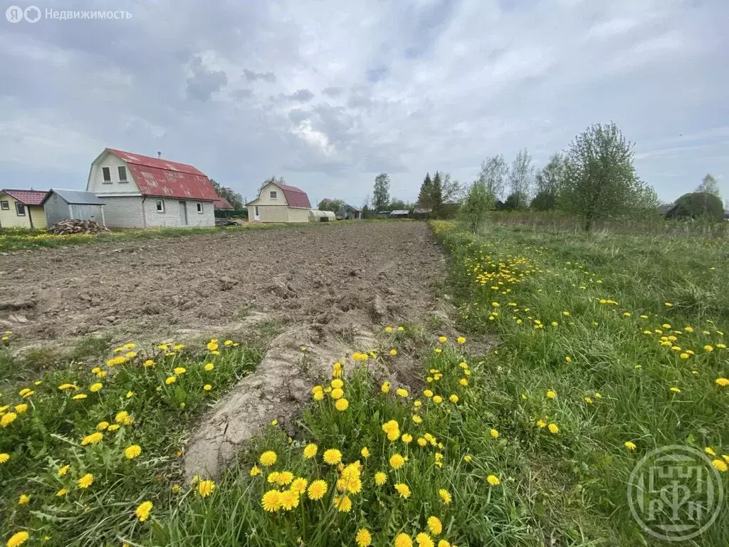 Участок в Ломоносовский район, Гостилицкое сельское поселение, деревня ... - Фото 1