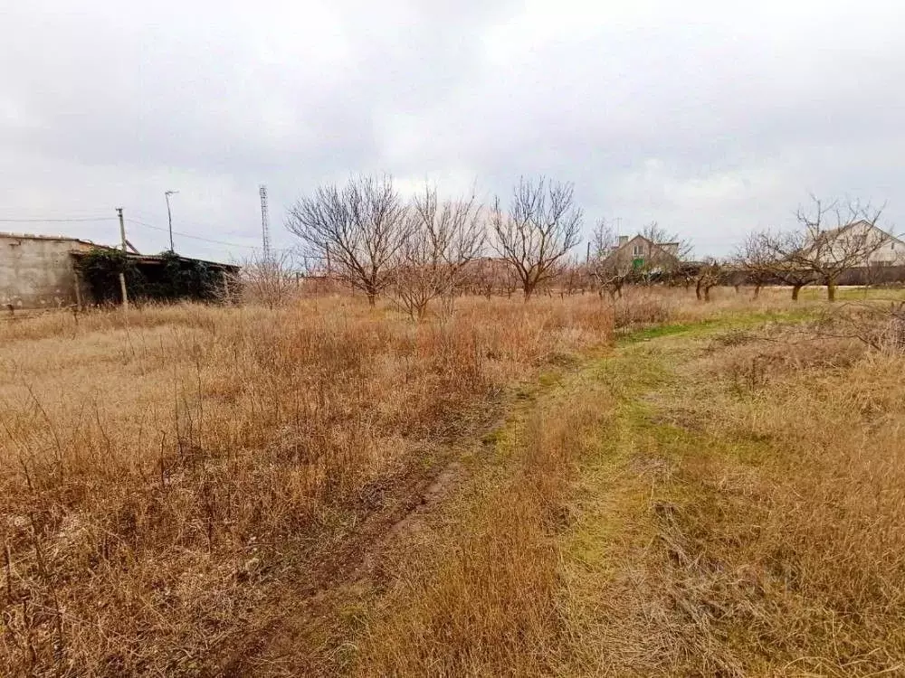 Участок в Крым, Сакский район, с. Митяево ул. Спортивная (12.0 сот.) - Фото 1