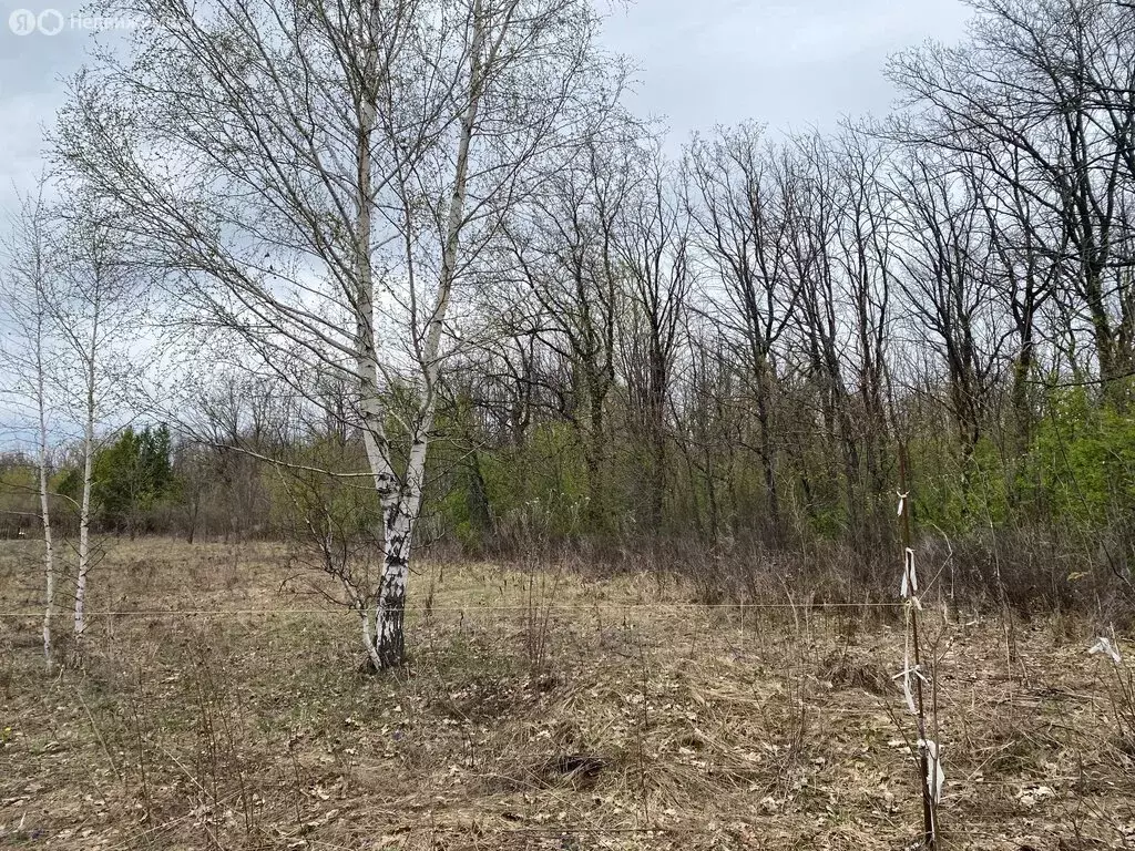 Участок в Ишимбай, улица Титова (15 м) - Фото 0