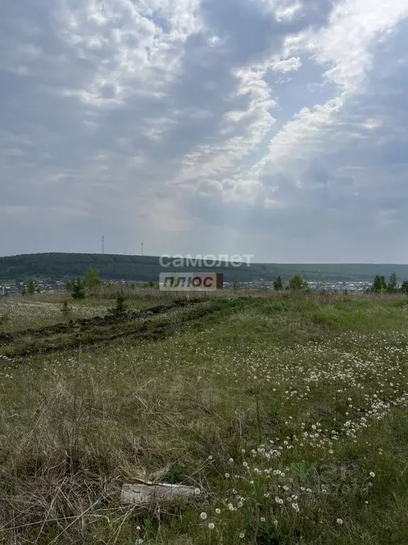 Участок в Свердловская область, Арти пгт ул. Ленина (14.23 сот.) - Фото 1