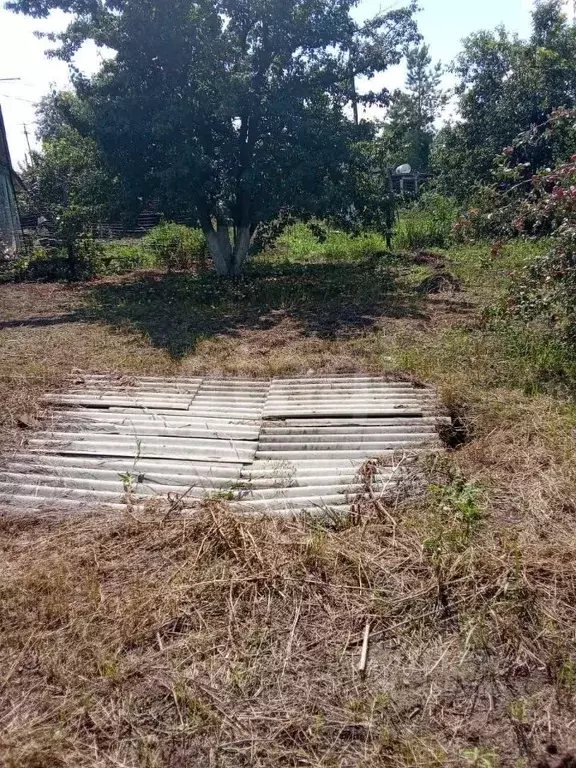 Участок в Оренбургская область, Оренбургский район, Нежинский ... - Фото 2