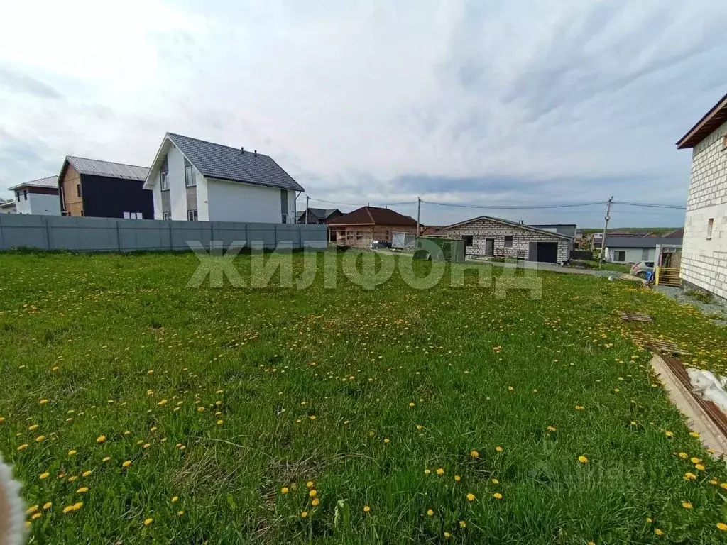 Участок в Новосибирская область, Новосибирский район, Каменский ... - Фото 1