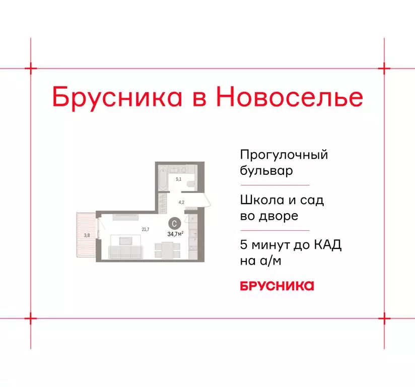 Квартира-студия: городской посёлок Новоселье, ЖК Брусника (34.71 м) - Фото 1