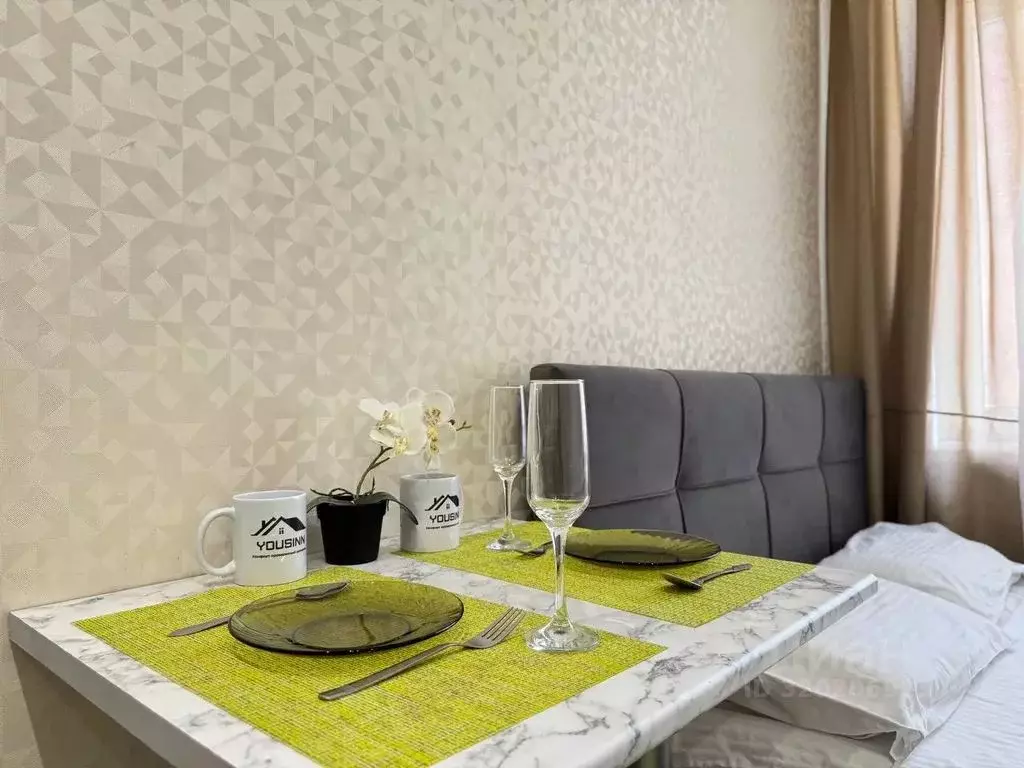 Комната Новосибирская область, Новосибирск ул. Серафимовича, 8 - Фото 2