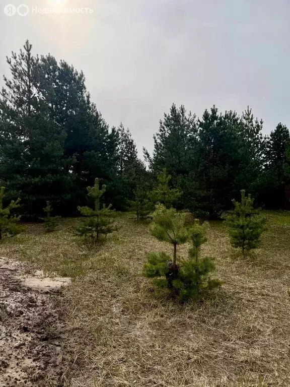 Участок в село Староживотинное, 3-я Раменская улица, 34 (10 м) - Фото 1