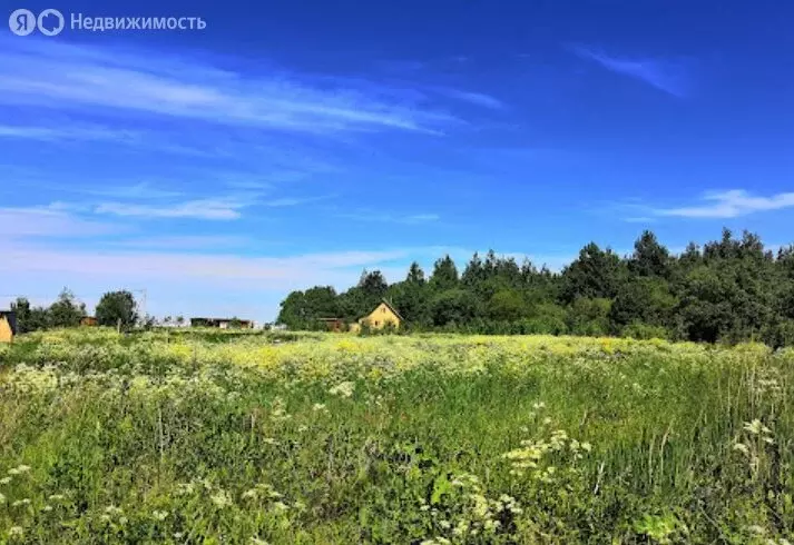Участок в Елыкаево, Колхозная улица (13.7 м) - Фото 1