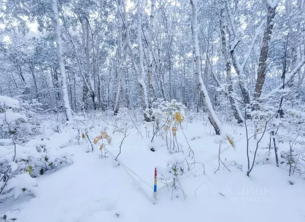Участок в Камчатский край, Елизовский муниципальный округ, пос. ... - Фото 1