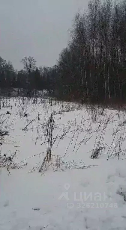 Участок в Московская область, Ступино городской округ, с. Березнецово  ... - Фото 1