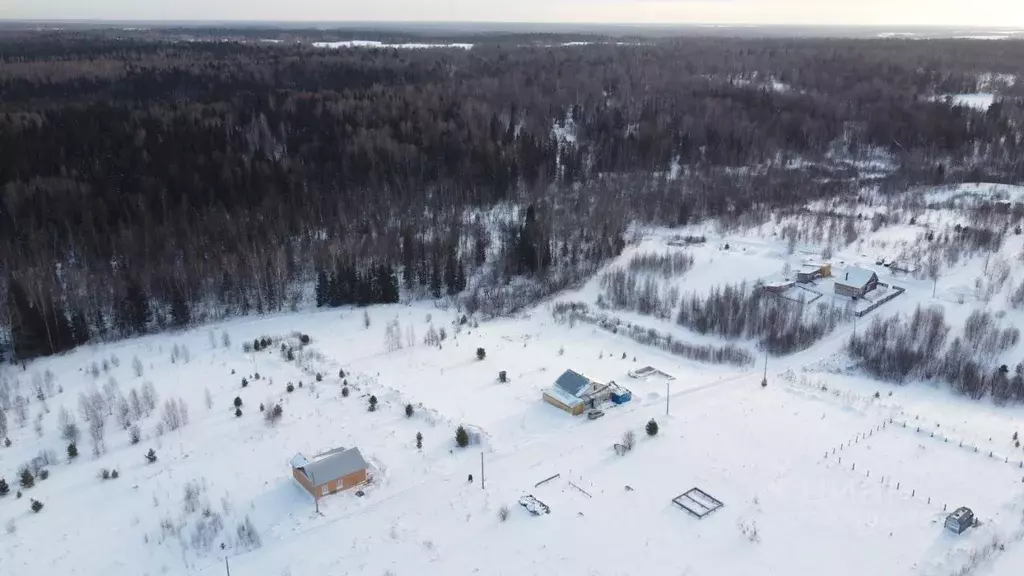 Участок в Томская область, Томский район, Новые Вешки ДНТ ул. ... - Фото 2