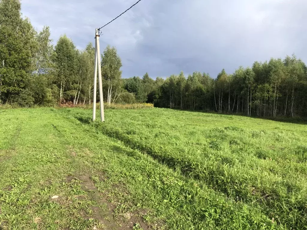 Участок в Тульская область, Заокский район, Страховское с/пос, д. ... - Фото 1