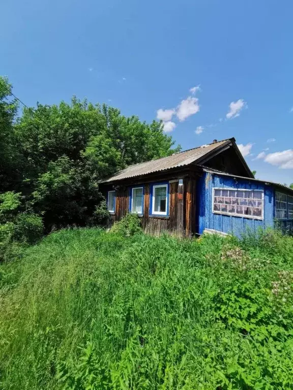Дом в Алтайский край, Быстроистокский район, с. Новопокровка Советская ... - Фото 1