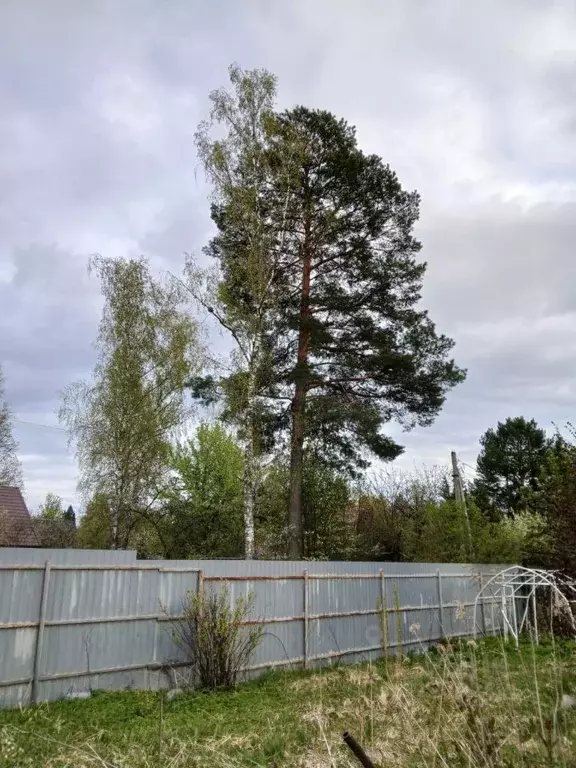 Участок в Московская область, Одинцовский городской округ, Имени ... - Фото 1