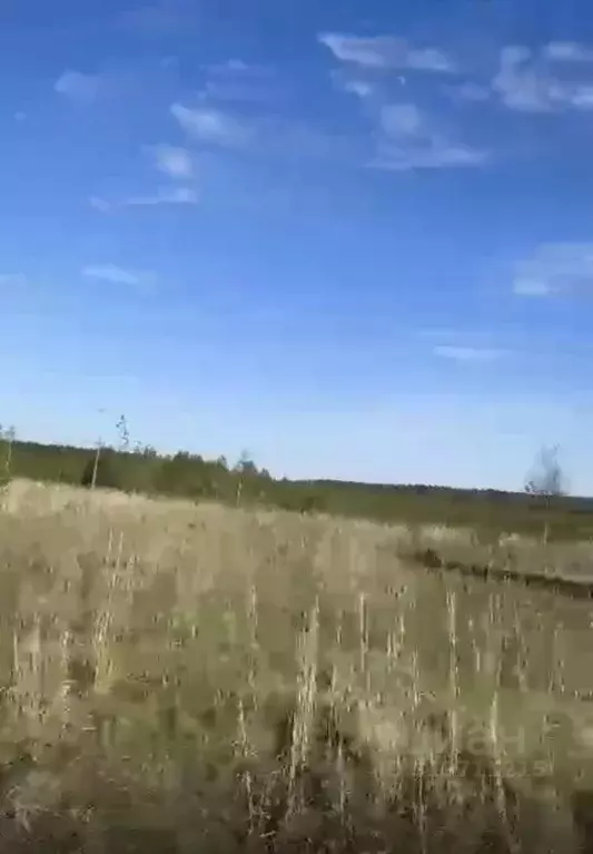 Участок в Московская область, Наро-Фоминский городской округ, Дуброво ... - Фото 1
