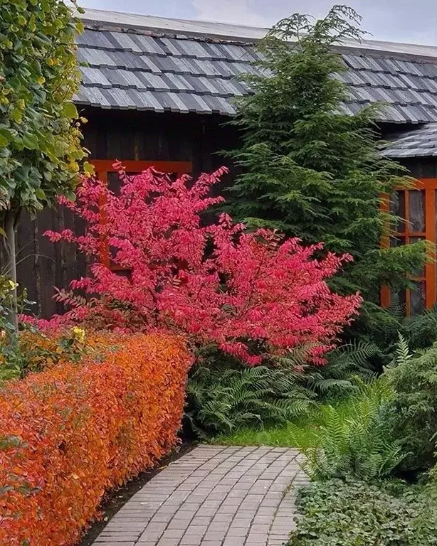 Участок в Ростовская область, Ростов-на-Дону ул. 1-я Володарского (5.1 ... - Фото 1