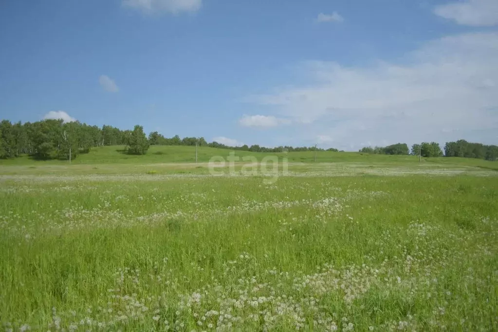 Участок в Кемеровская область, Прокопьевск Сафоново мкр,  (12.3 сот.) - Фото 1