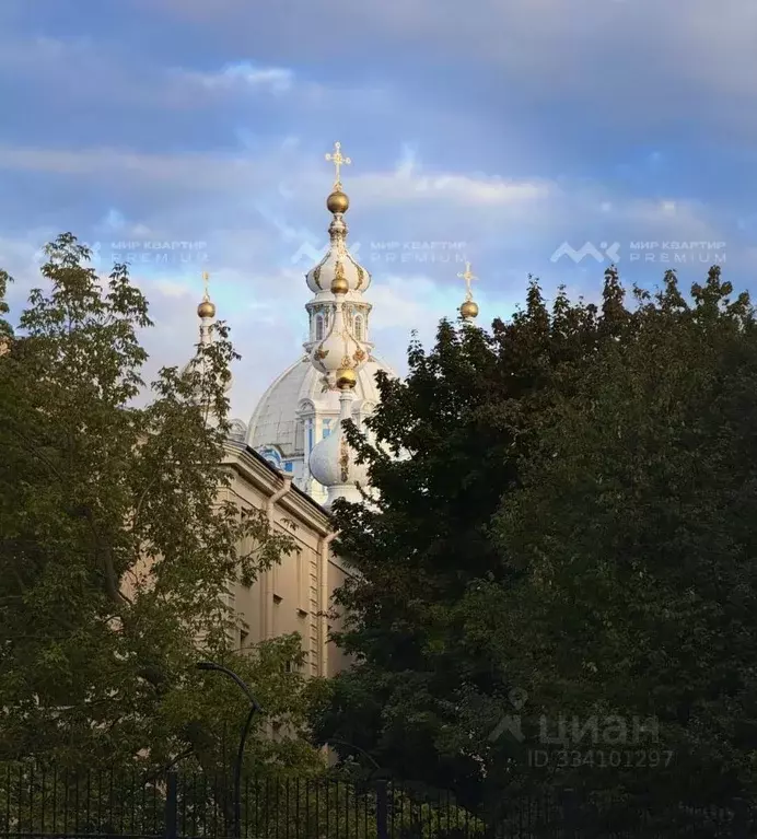 2-к кв. Санкт-Петербург Орловская ул., 1 (79.9 м) - Фото 2