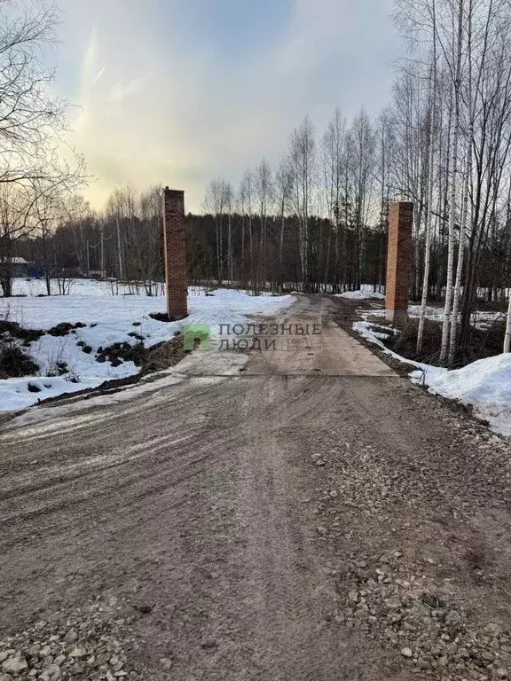Участок в Кировская область, Киров городской округ, д. Олинцы  (16.95 ... - Фото 0
