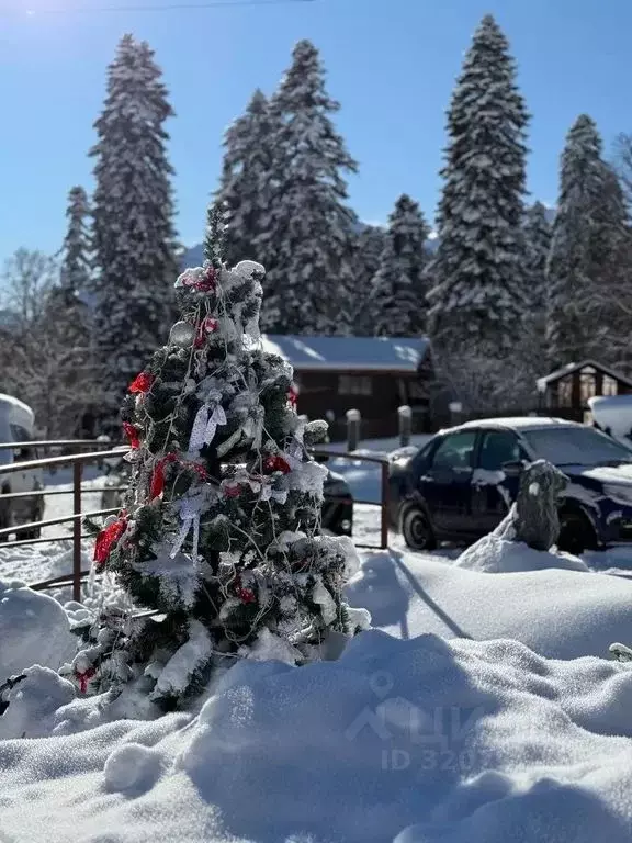 Дом в Карачаево-Черкесия, Зеленчукский район, с. Архыз  (45 м) - Фото 2