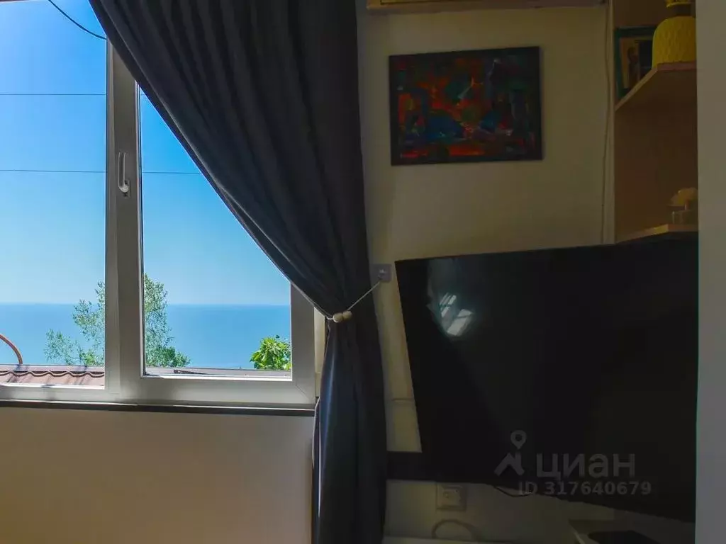 Студия Краснодарский край, Сочи Курортный просп., 98/18А (18.0 м) - Фото 0