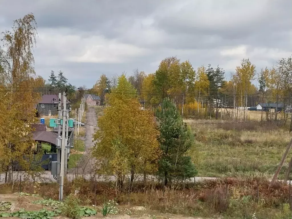 Участок в Ленинградская область, Всеволожский район, Колтушское ... - Фото 2