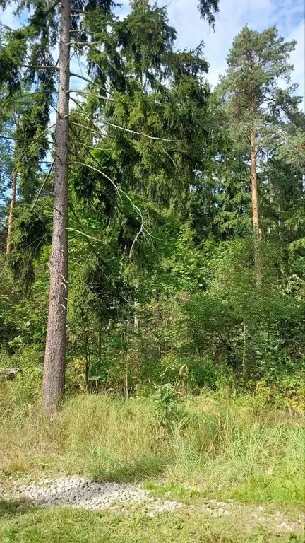 Участок в Московская область, Раменский городской округ, Кратово дп ... - Фото 1