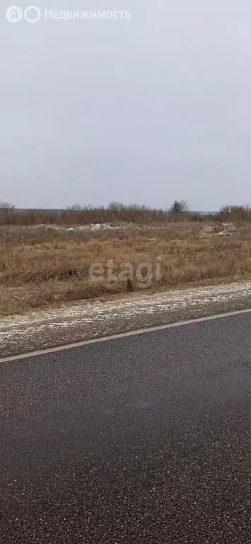 Участок в Шебекинский городской округ, село Дмитриевка (750.5 м) - Фото 1