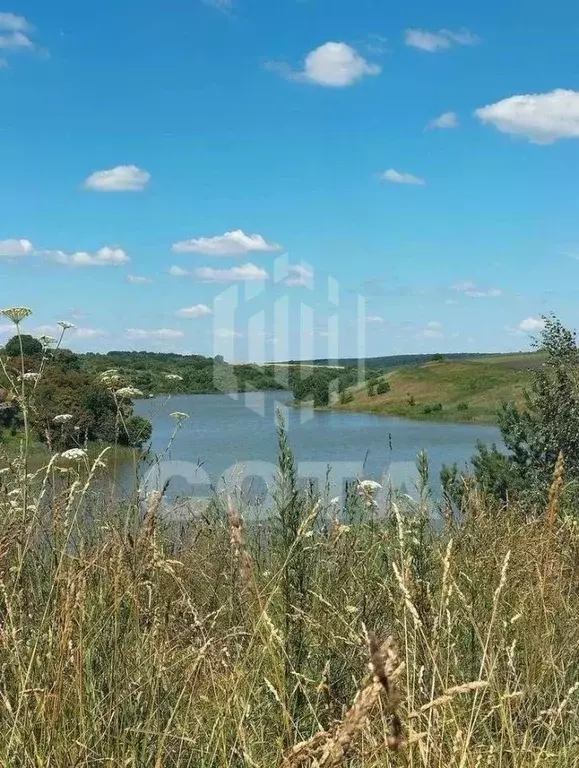 Участок в Липецкая область, Хлевенский муниципальный округ, с. ... - Фото 2