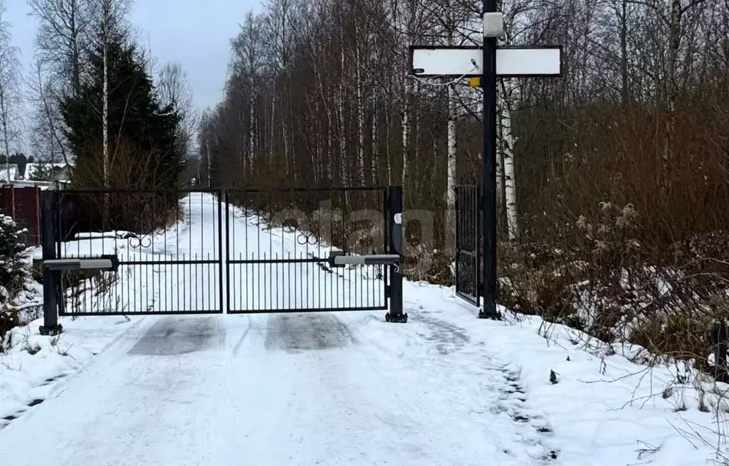 Участок в Ленинградская область, Всеволожский район, Рахьинское ... - Фото 0