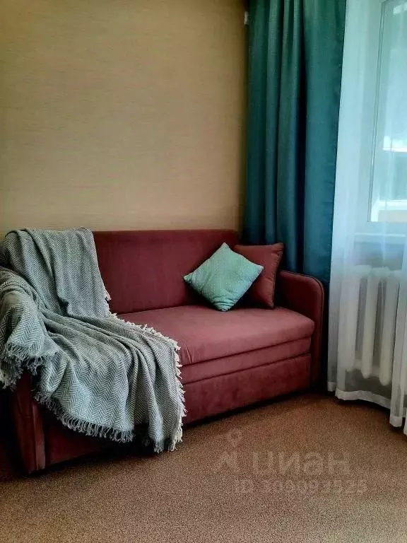 1-к кв. Амурская область, Благовещенск ул. Фрунзе, 37 (27.0 м) - Фото 1