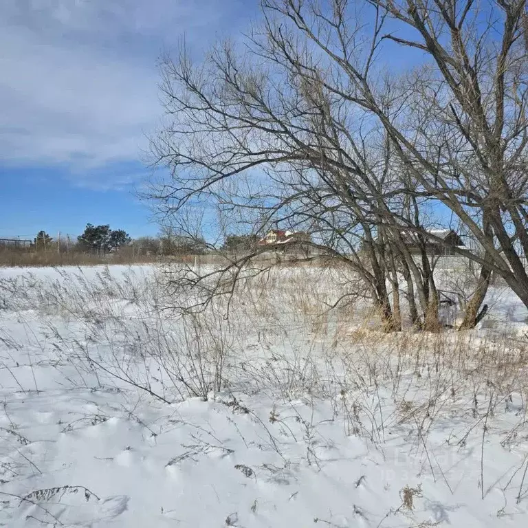 Участок в Амурская область, Благовещенск  (20.0 сот.) - Фото 1