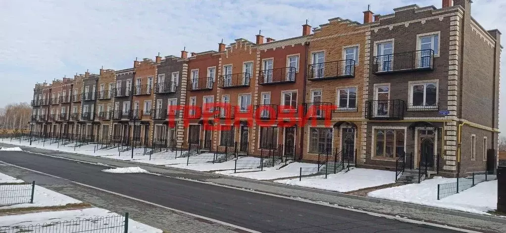 Таунхаус в Новосибирская область, с. Новолуговое, Березки-2 мкр, 5-й ... - Фото 1