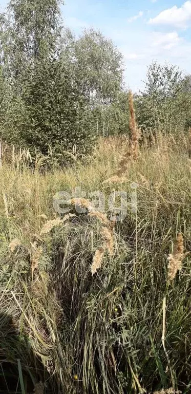 Участок в Калужская область, Перемышль с/пос, д. Поляна  (14.0 сот.) - Фото 2
