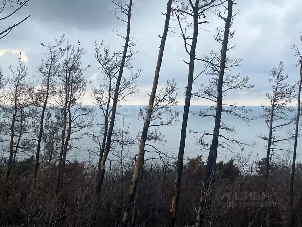 Участок в Краснодарский край, Геленджик  (6.58 сот.) - Фото 2