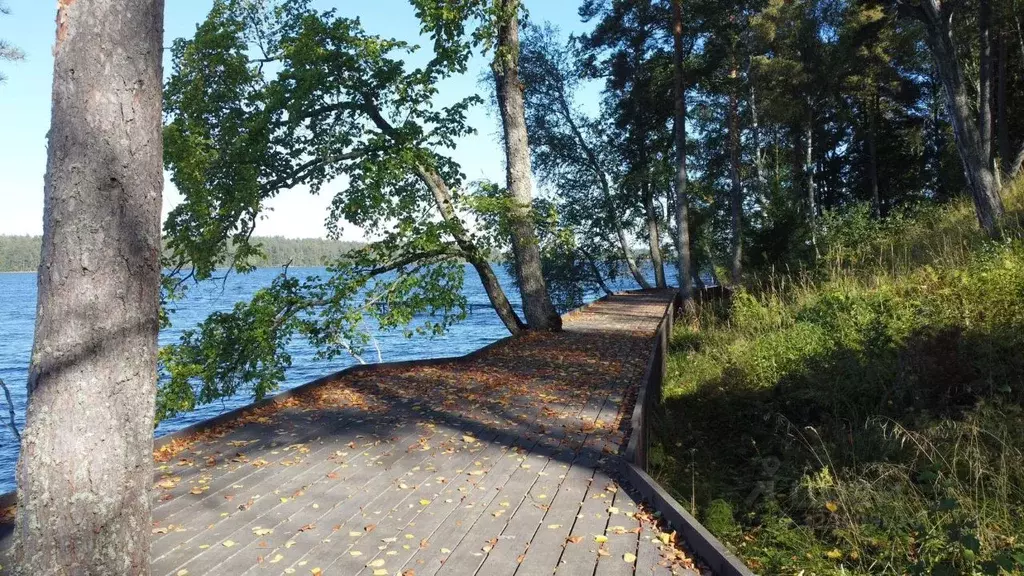 Участок в Ленинградская область, Приозерский район, Громовское с/пос, ... - Фото 2