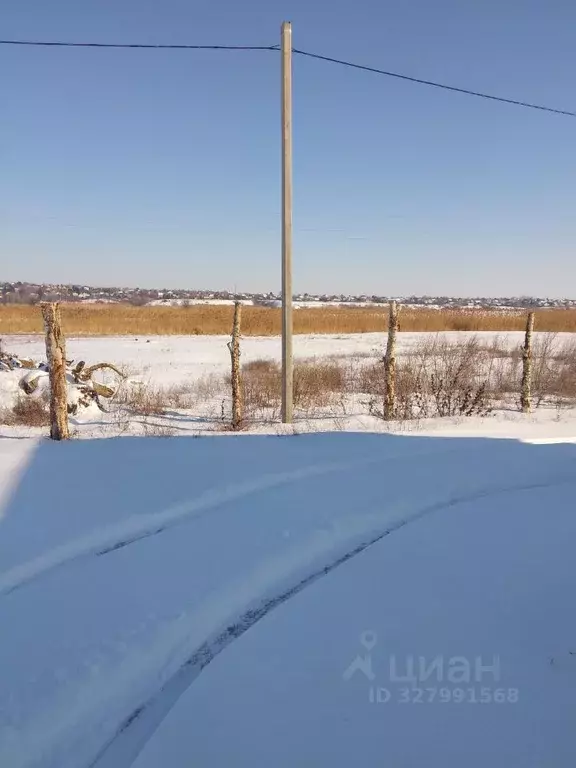 Участок в Волгоградская область, Дубовский район, Пичужинское с/пос, ... - Фото 1