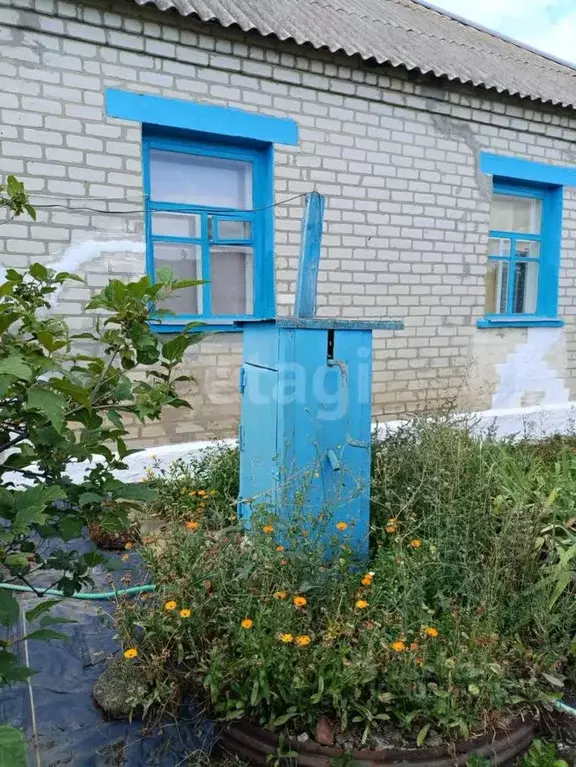 Дом в Белгородская область, Вейделевский район, Николаевское с/пос, ... - Фото 1