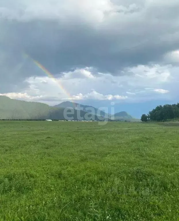 Купить Дом В Бешпельтир Чемальский Район