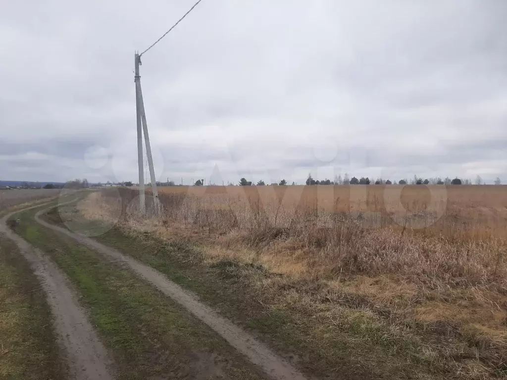 Участок 4 га (СНТ, ДНП) - Фото 1
