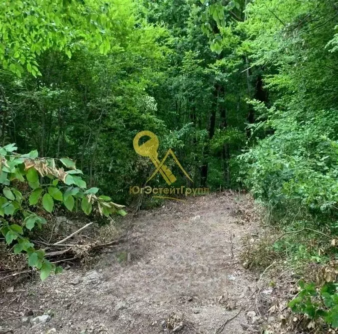 Участок в Краснодарский край, Туапсинский муниципальный округ, с. Агой ... - Фото 2